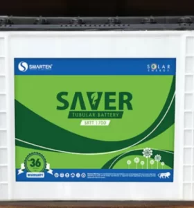 Smarten Saver Series C10 Battery